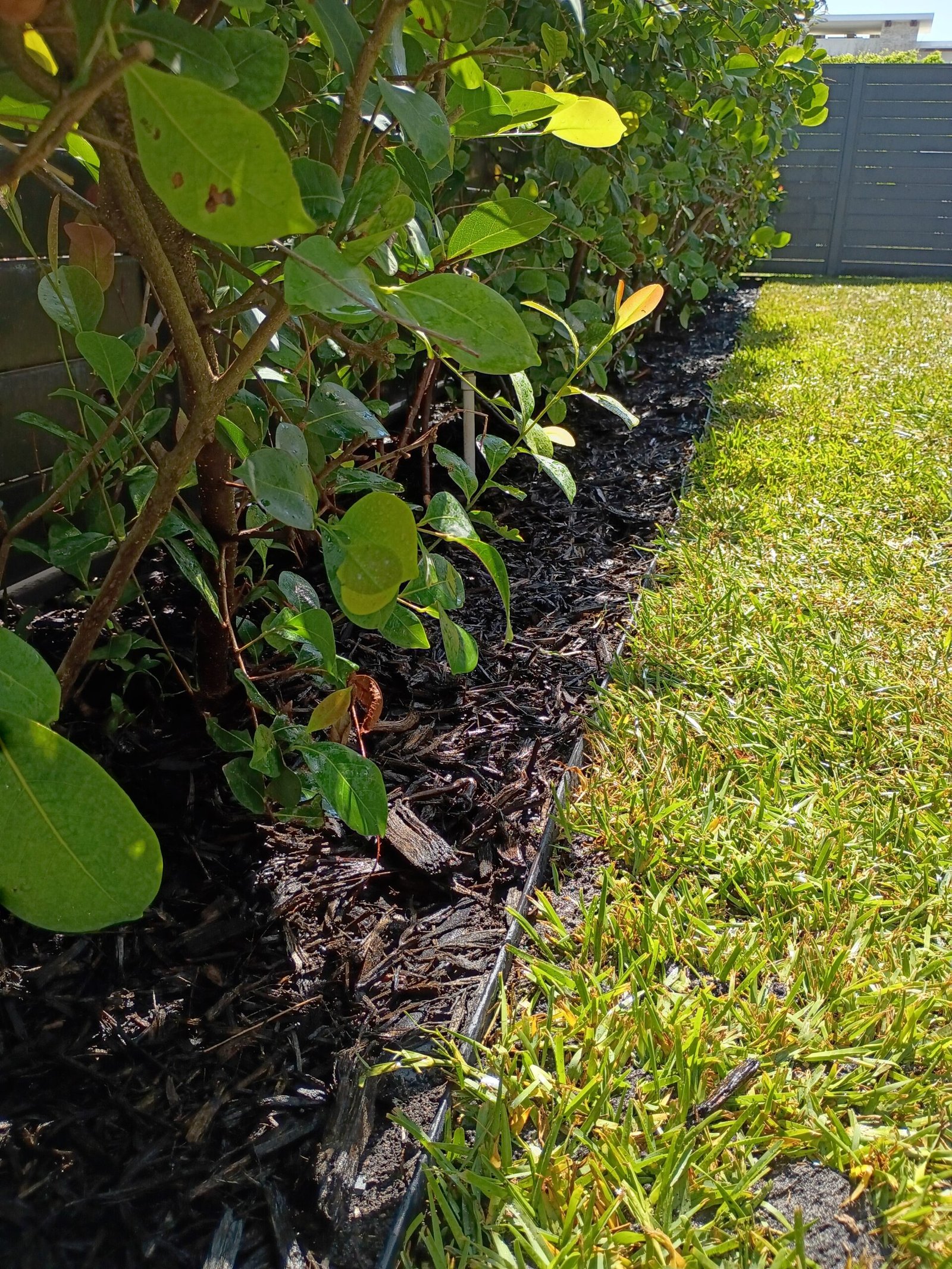 IMG_20250508_160651704_HDR